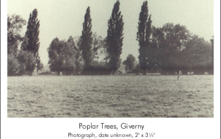 Poplar Trees, Giverny. Photograph from Claude Monet Family Photographs 1890-1926