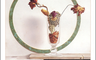 Sands Flowers, Fancisco Roa 1994